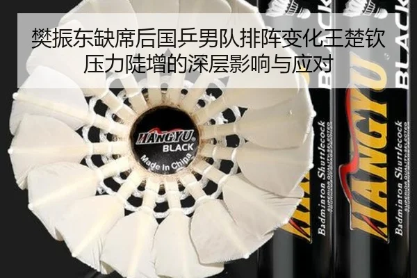 樊振东缺席后国乒男队排阵变化王楚钦压力陡增的深层影响与应对